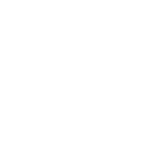 不動